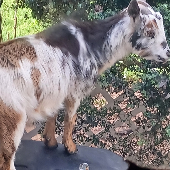 Meet your Posher, Mary - Picture 15 of 16